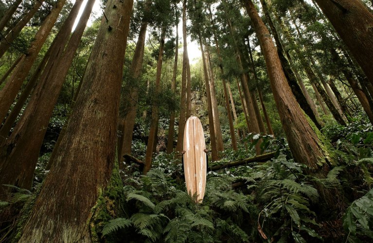 YYachts provoking excellence