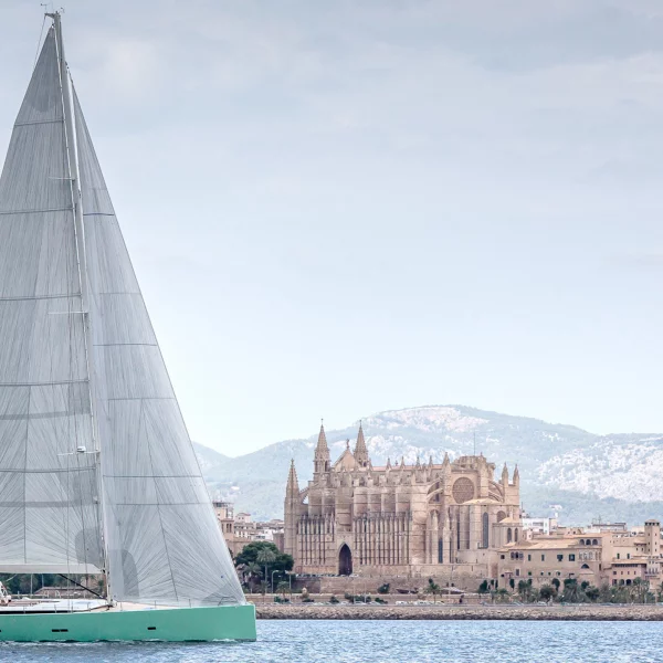 Y8 Cool Breeze Panoramic view